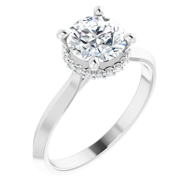 Hidden Halo-Style Engagement Ring or Band