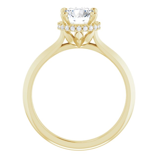 Hidden Halo-Style Engagement Ring or Band