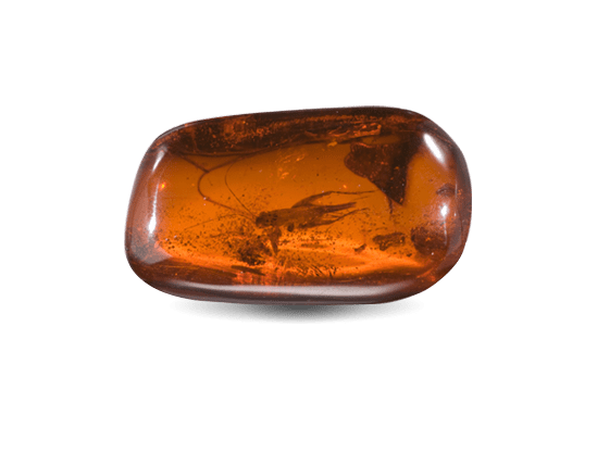 polished-amber-gems
